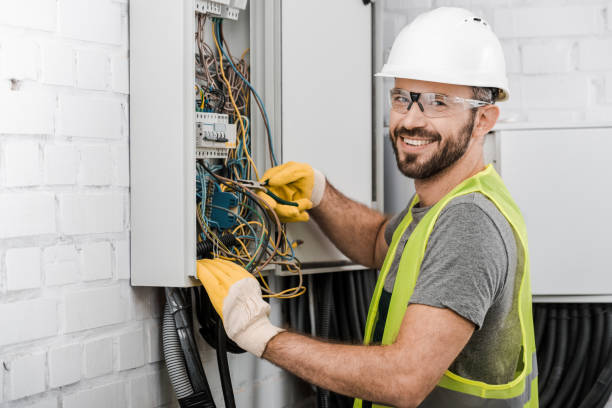 Best Electrical Upgrades for Homes  in Roseville, MI