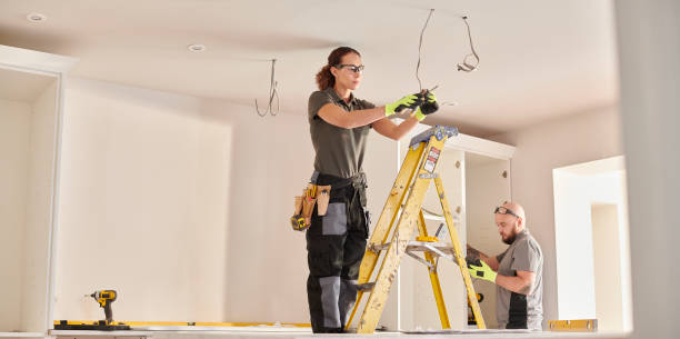 Best Electrical Troubleshooting Services  in Roseville, MI